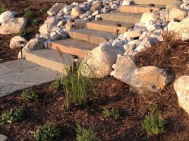 stone stairs with rock and multch landscaping on either side. 