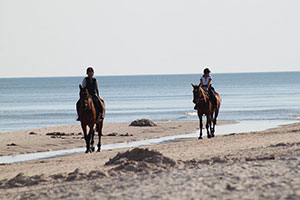 horseback riding on the beach