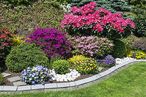 Multi-colored flower arrangement