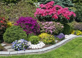 cool flower colors arrangement