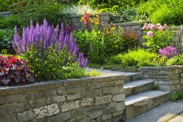 warm flower colors siting ontop of a retaining wall
