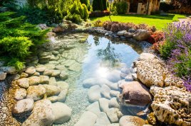colorful pond 