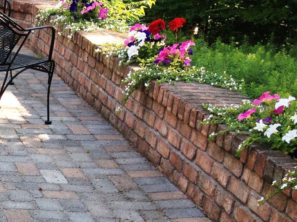 lovely spring flowers draping over brick wall